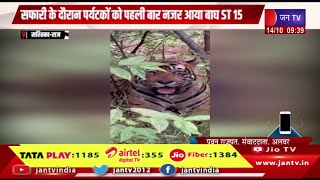 Sariska Raj News | सफारी के दौरान पर्यटकों को पहली बार नजर आया बाध ST 15 | JAN TV