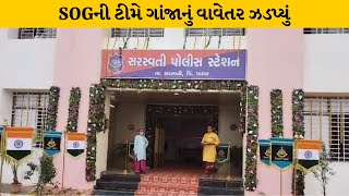 Patan : ખેતરમાંથી ગાંજાનું વાવેતર ઝડપાયું MantavyaNews