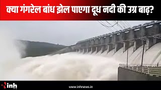 क्या गंगरेल बांध झेल पाएगा दूध नदी की उग्र बाढ़? Gangrel Dam | Dhamtari News | Chhattisgarh News