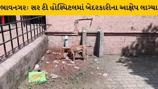 Bhavnagar : સર ટી હોસ્પિટલમાં લેબમાંથી બ્લડ સેમ્પલ શ્વાન લઇ ગયાના આક્ષેપ | MantavyaNews