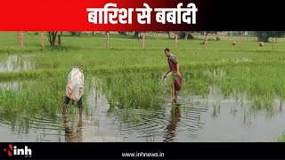 बारिश से बर्बादी | फसल से लेकर मकान तक सब हुए धराशायी | Rajnandgaon Flood | Heavy Rain | CG News