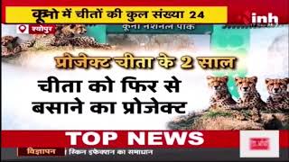 Kuno में Cheetah Project को 2 साल पूरे, National Park के अधिकारियों ने मनाया जश्न | Sheopur News