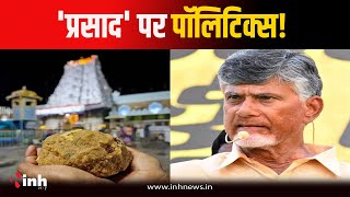 Tirupati Balaji Mandir के 'लड्डू प्रसादम' में चर्बी, NDDB की रिपोर्ट में पुष्टि | Laddu Controversy