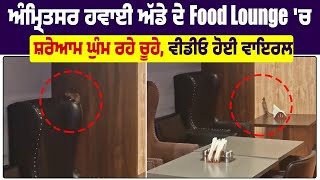 ਅੰਮ੍ਰਿਤਸਰ ਹਵਾਈ ਅੱਡੇ ਦੇ Food Lounge 'ਚ ਸ਼ਰੇਆਮ ਘੁੰਮ ਰਹੇ ਚੂਹੇ, ਵੀਡੀਓ ਹੋਈ ਵਾਇਰਲ