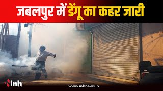 Jabalpur में डेंगू का कहर जारी, 5 नए Dengue पीड़ित मरीज मिले | Dengue New Cases in Jabalpur