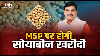 Bhopal News: Mohan Cabinet का बड़ा फैसला, MSP पर होगी सोयाबीन की खरीदी | Mohan Cabinet Meeting