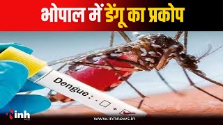 Bhopal News: तेजी से बढ़ रहा Dengue का प्रकोप, पिछले 27 दिनों में मिले 110 मरीज | Dengue Cases Update