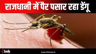 राजधानी में पैर पसार रहा डेंगू | 24 घंटे में सामने आए 5 मरीज