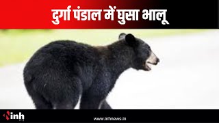 दुर्गा पंडाल में घुसा भालू | ग्रामीणों ने भालू को भगाया | देखिए Viral Video | Kanker News | CG News