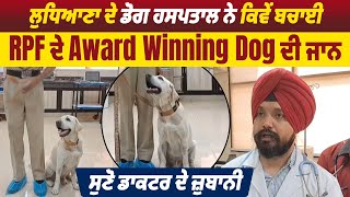 ਲੁਧਿਆਣਾ ਦੇ ਡੋਗ ਹਸਪਤਾਲ ਨੇ ਕਿਵੇਂ ਬਚਾਈ RPF ਦੇ Award Winning Dog ਦੀ ਜਾਨ, ਸੁਣੋ ਡਾਕਟਰ ਦੇ ਜ਼ੁਬਾਨੀ