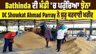 Bathinda ਦੀ ਮੰਡੀ 'ਚ ਪਹੁੰਚਿਆ ਝੋਨਾ, DC Showkat Ahmad Parray ਨੇ ਸ਼ੁਰੂ ਕਰਵਾਈ ਖਰੀਦ