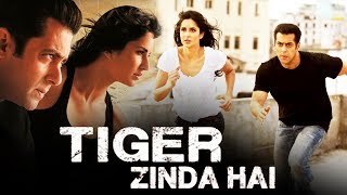 Salman Khan's Morocco Schedule For Tiger Zinda Hai Revealed