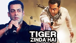 Salman Khan's MASTER PLAN For Tiger Zinda Hai