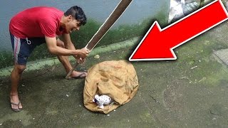 Animal Abuse Social Experiment n Prank in India