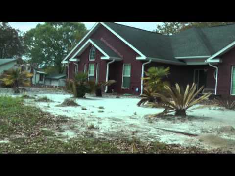 Freeze Leaves Florida Panhandle With Dead Trees News Video