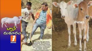 Cattle Ban Creates Storm in India | Eaters Protests Against Central Govt | iNews