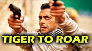 Move Over Tubelight, Now Salman's Tiger To Roar In Christmas 2017