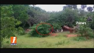 Villagers Fear Over Bear Hulchal in Sompeta Mandal | Srikakulam | iNews