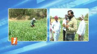 Farmers Suffer With Loan Waiver In Adilabad |  Govt Neglects | Ground Report | iNews