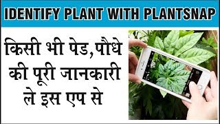 किसी भी पौधो की जानकारी ले इस एप से फोटो लेकर । Identify Plants with Plantsnap