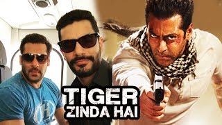 Inside Edge Special Screening For Salman & Tiger Zinda Hai Team