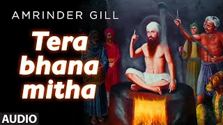 Punjabi Devotional Song || Tera Bhana Mitha || Amrinder Gill