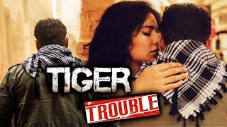 Salman's Tiger Zinda Hai In Trouble, Stuntman Goes On Strike?