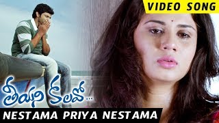 Teeyani Kalavo Movie Song - Nestama Priya Nestama Full Video Song - Sri Tej,Akhil Karteek,Hudasa