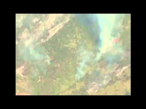 Forest fires rage in Chile News Video