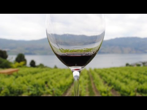 Top 10 Wine Producing Countries
