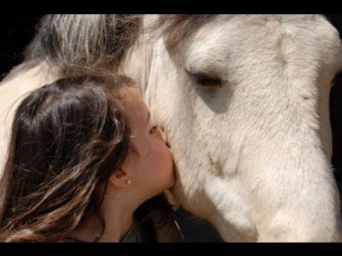 Competetion Between Two Girls - Girl kiss horse - A girl and horse - funny video