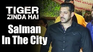 Salman Khan In Tiger Zinda Hai Look At Ambani's Ganapati Bash 2017