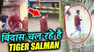 Tiger Salman Khan SPOTTED Walking On Street Fearlessly