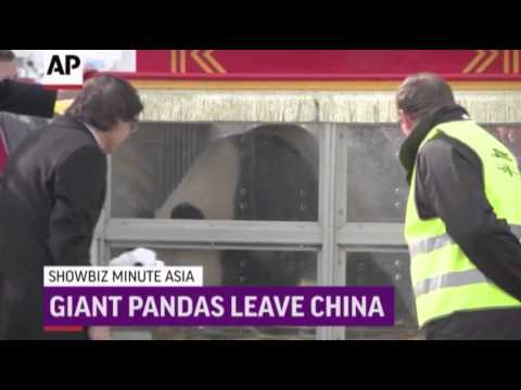 ShowBiz Minute Asia- Zhou Xun, Pandas, "The Raid News Video