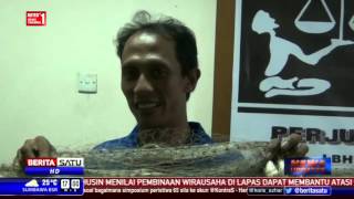 Nelayan Bantah Tuduhan Ahok Soal Ikan di Teluk Jakarta