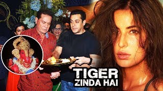 Salman To CANCEL Tiger Zinda Hai Shoot For Ganapati, Katrina's First Look From TZH