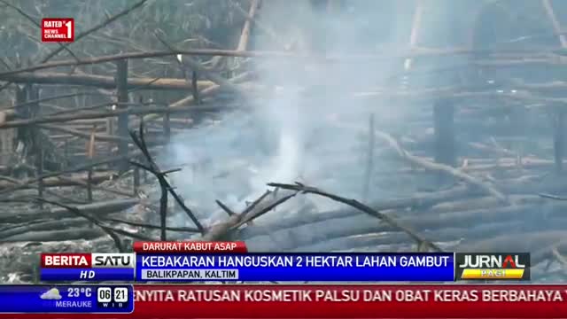 Dua Hektar Lahan Gambut di Balikpapan Hangus Terbakar