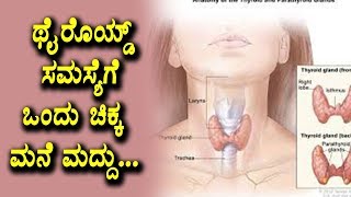 ಥೈರೊಯ್ಡ್ ಸಮಸ್ಯೆಗೆ ಒಂದು ಚಿಕ್ಕ ಮನೆ ಮದ್ದು | Thyroid Health Tips in Kannada | Top Kannada TV