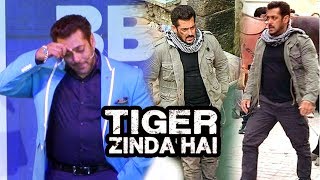 Salman Khan Talks On Tiger Zinda Hai Shooting In Abu Dhabhi