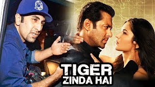 Salman CREATES Big Trouble For Ranbir Kapoor, Tiger Zinda Hai Master Plan