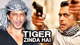Shahrukh Khan's CAMEO In Salman's Tiger Zinda Hai?