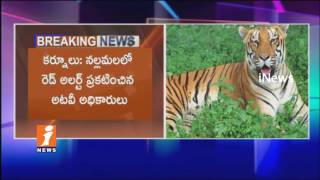 officials Announces Red Alert in Nallamala Forest Over Tiger Hunting | Kurnool  | iNews
