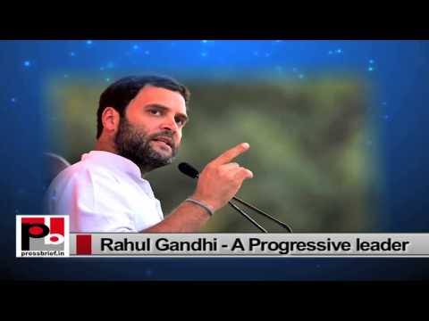 Rahul Gandhi- We will tackle all issues within the Congress