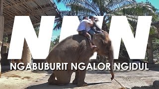 NNN - Tentang Bali Trip