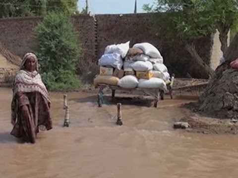 Raw- Makeshift Camps in Pakistan During Floods News Video