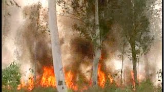 फिरोज़पुर में अंतरराष्ट्रीय सीमा नज़दीक जंगलों को लगी भयानक आग