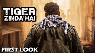 Salman's Tiger Zinda Hai FIRST LOOK - Director Ali Abbas Reveals