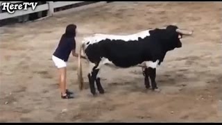 Funny videos People Fail Bull Fighting
