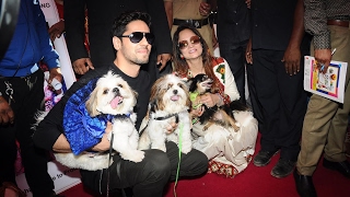 Sidharth Malhotra At The Launch Of Pet Festival In Mumbai