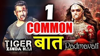 Tiger Zinda Hai And Padmavti Have 1 Thing In COMMON - Know what